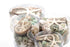 Premium Seashell Pack - Green Jade